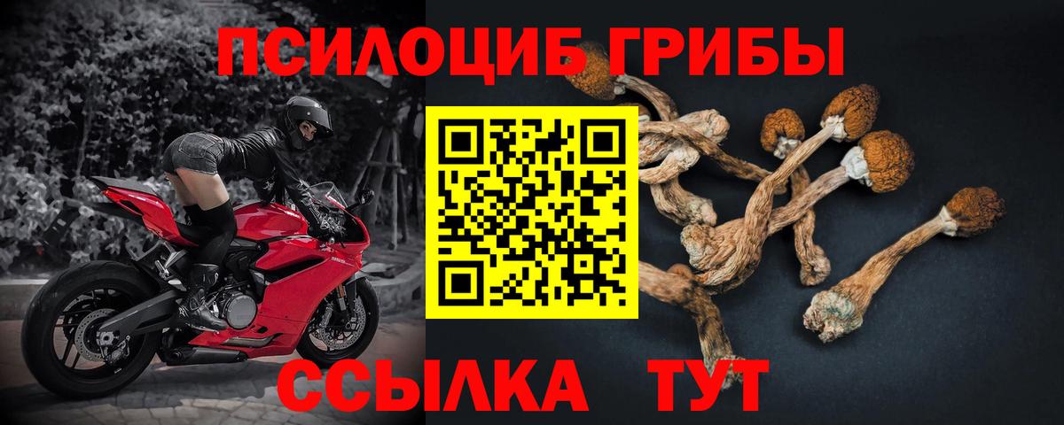 Галлюциногенные грибы GOLDEN TEACHER Урай